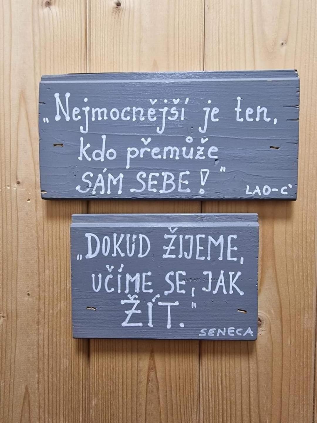 Penzion Slunecnice Kurimska Nova Ves 外观 照片
